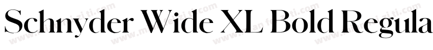 Schnyder Wide XL Bold Regular字体转换